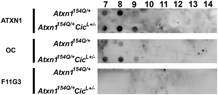 Figure 4—figure supplement 3.