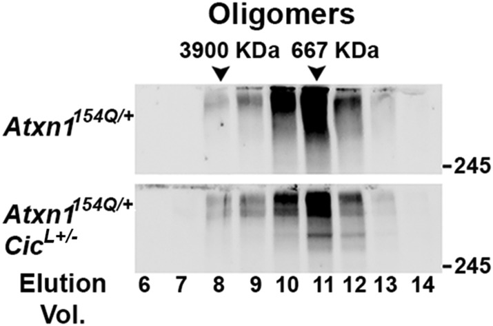 Figure 4—figure supplement 2.