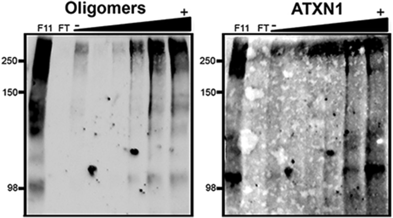 Figure 2—figure supplement 2.