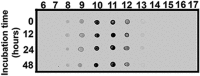 Figure 2—figure supplement 3.
