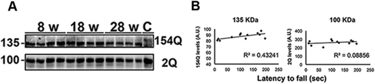 Figure 2—figure supplement 1.