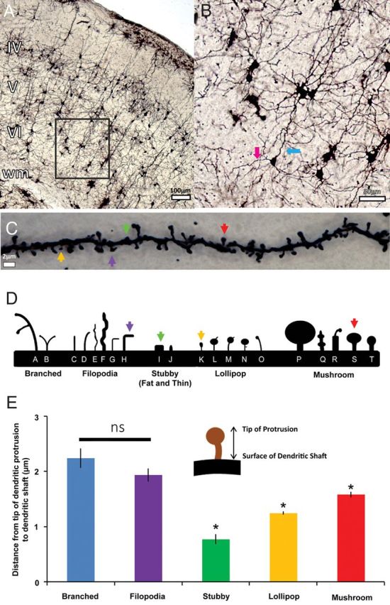 Figure 1.