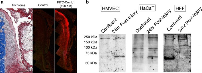 Fig. 2