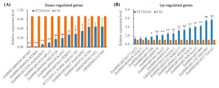 Figure 7