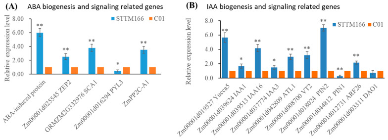 Figure 10