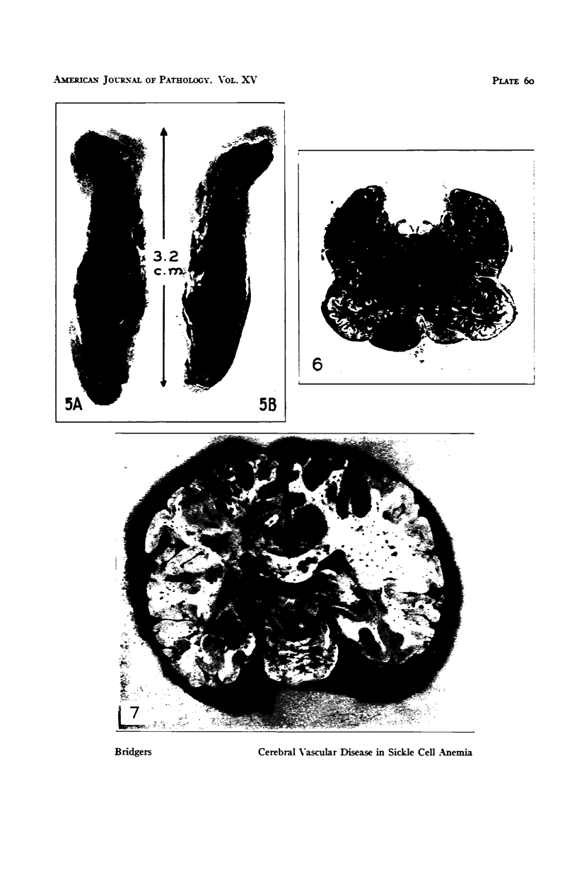 362-3