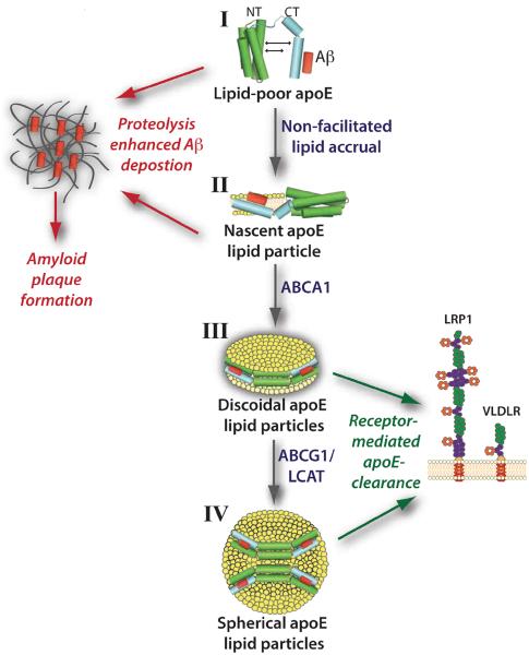 Fig. (4)