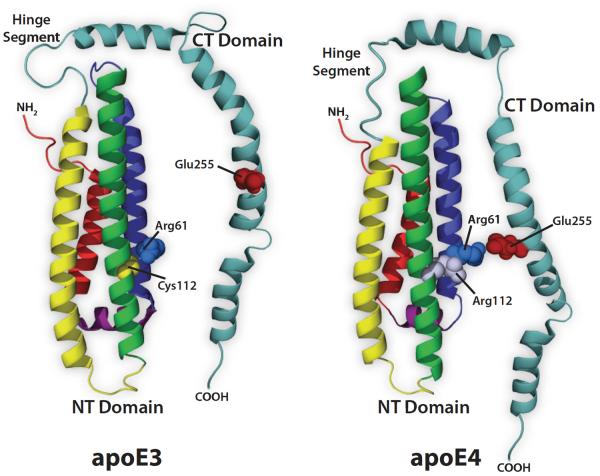 Fig. (3)