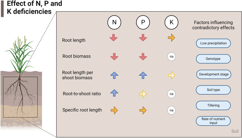 Figure 5