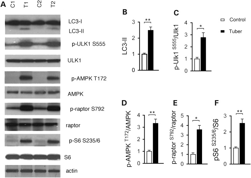 Figure 5.