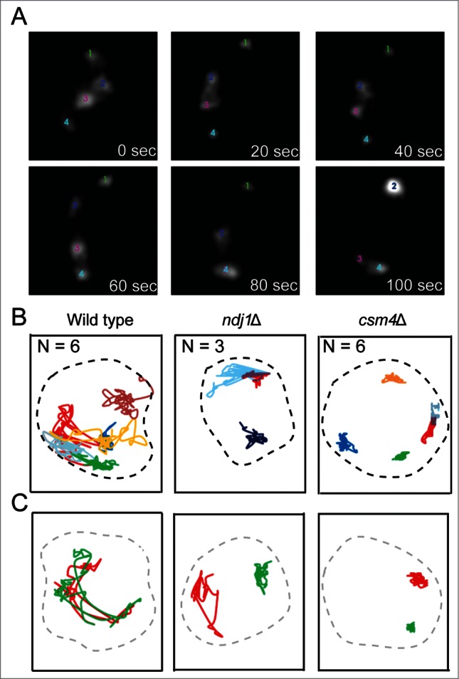 Figure 4.