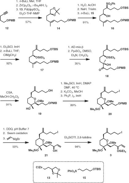 Scheme 3