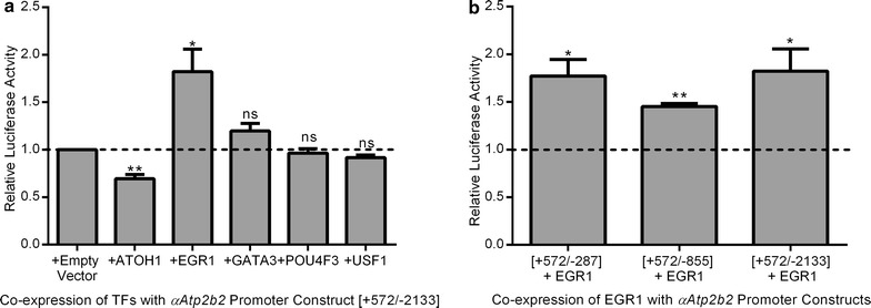 Fig. 4