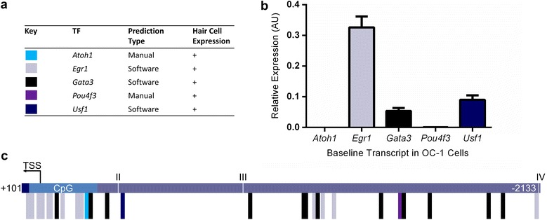 Fig. 3