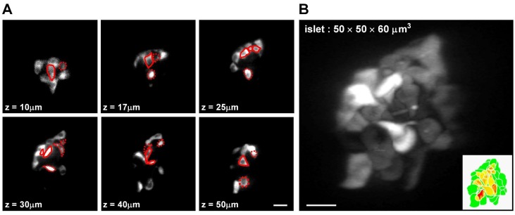 Figure 2—figure supplement 1.