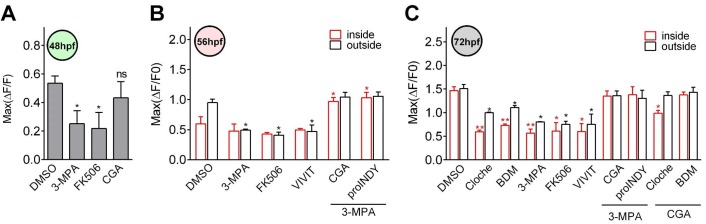 Figure 4—figure supplement 1.