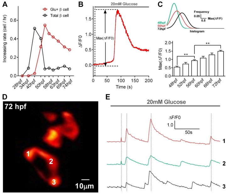 Figure 1—figure supplement 4.