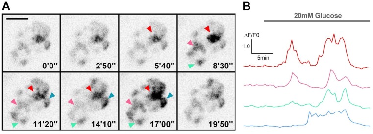 Figure 1—figure supplement 2.