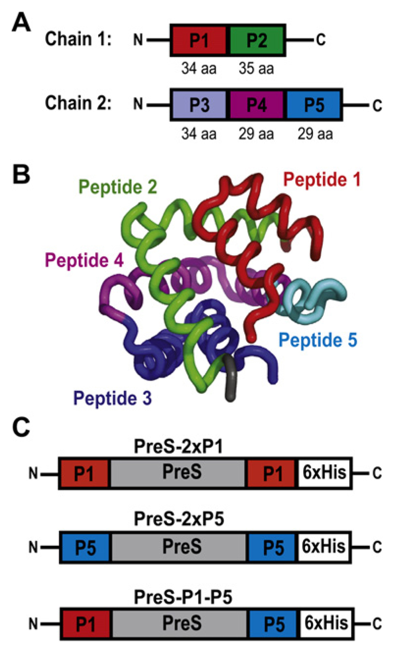 Fig 1