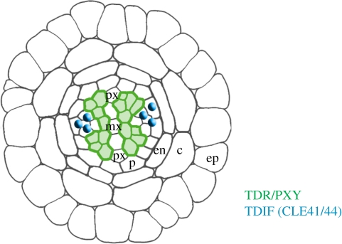 Figure 4.