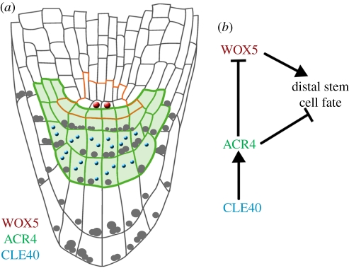 Figure 3.