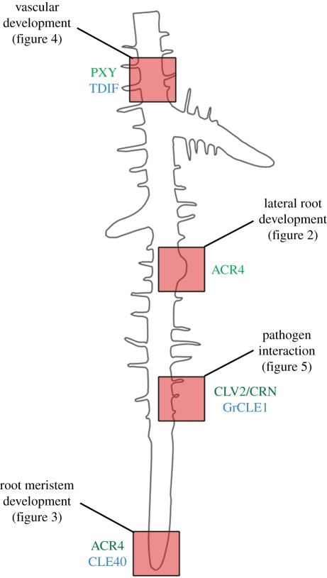 Figure 1.