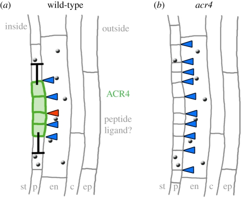 Figure 2.