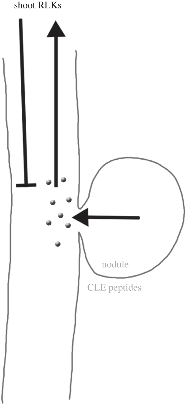 Figure 5.