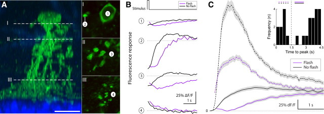 Figure 11.