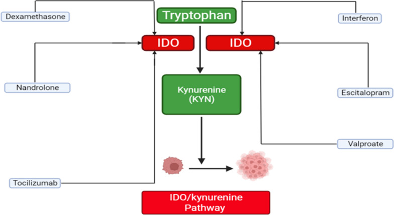 Fig. 2