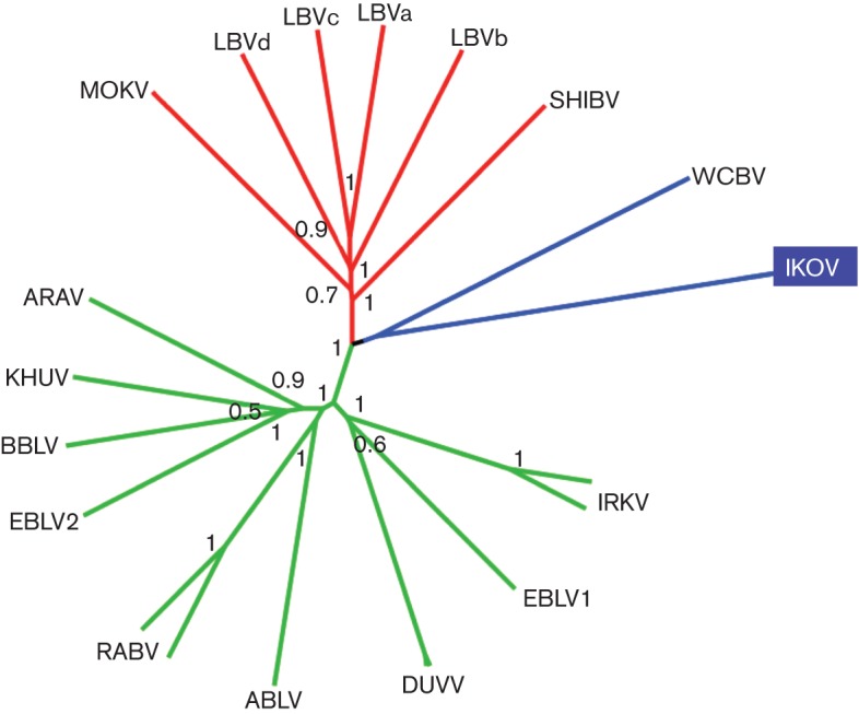 Fig. 3. 