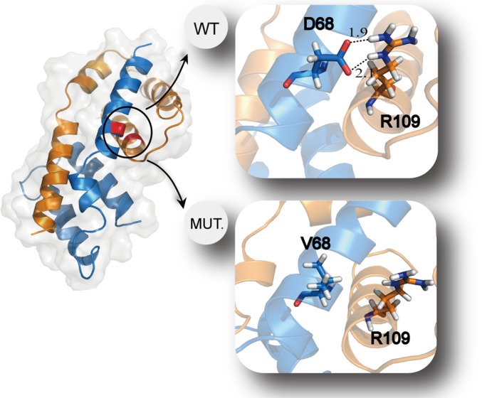 Fig. 6.