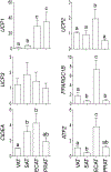 Figure 7: