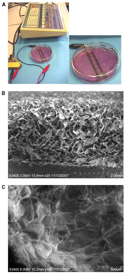 FIG. 1