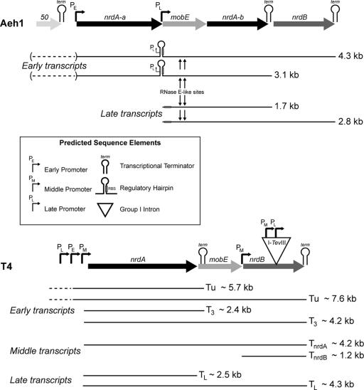 FIG. 7.