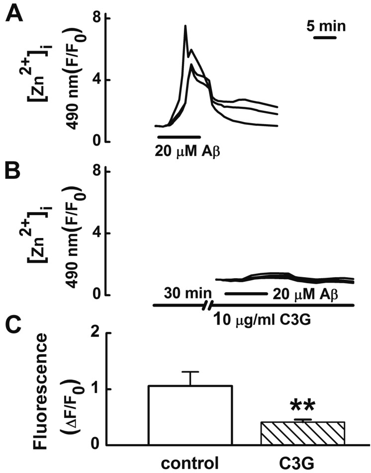 Fig. 3