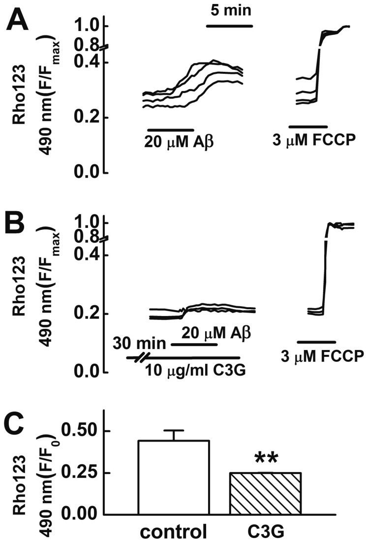 Fig. 4