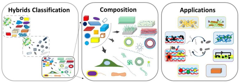 Graphical Abstract