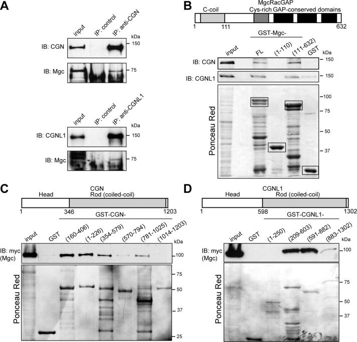 FIGURE 4: