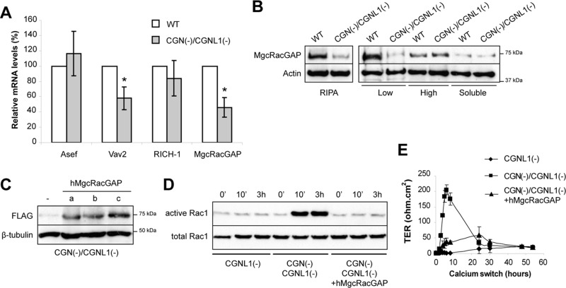 FIGURE 2: