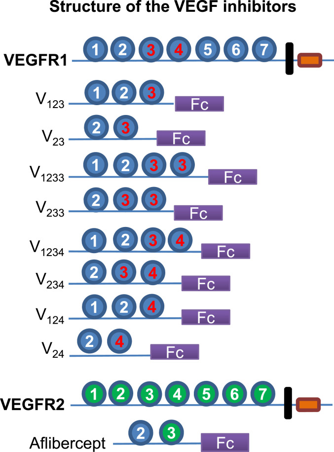 Fig. 1.