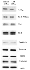Fig. 9.