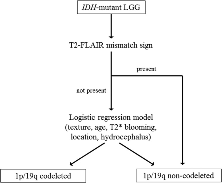 Fig 3.