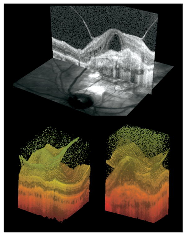 FIGURE 2