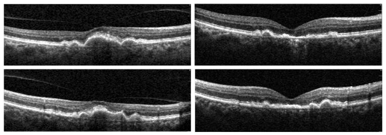 FIGURE 3