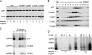 FIG 7