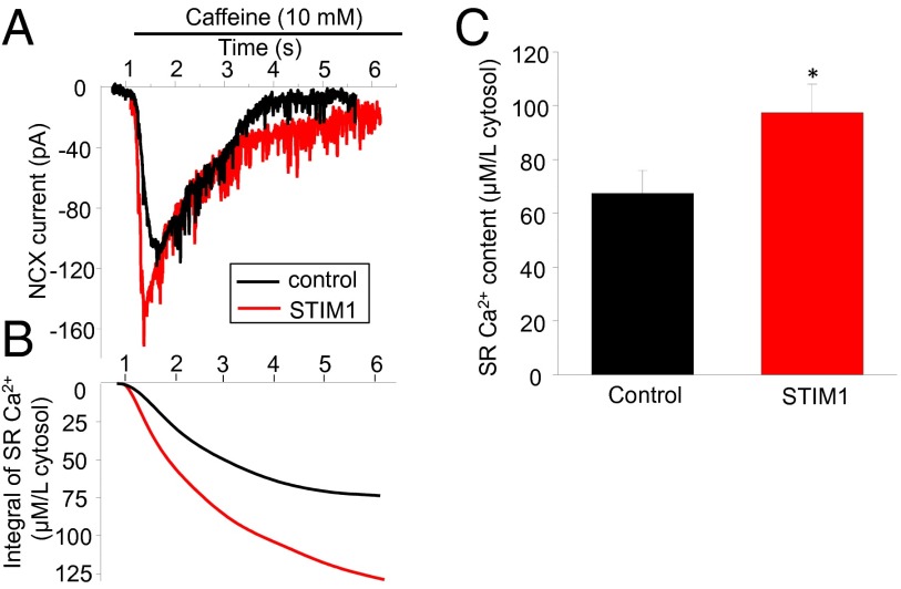 Fig. 6.