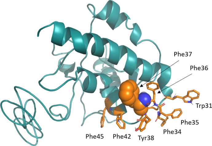 Fig. 1: