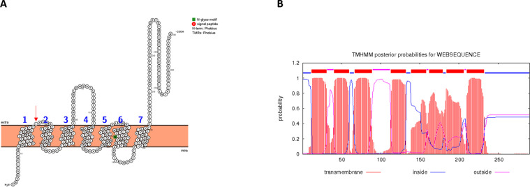 Fig. 2: