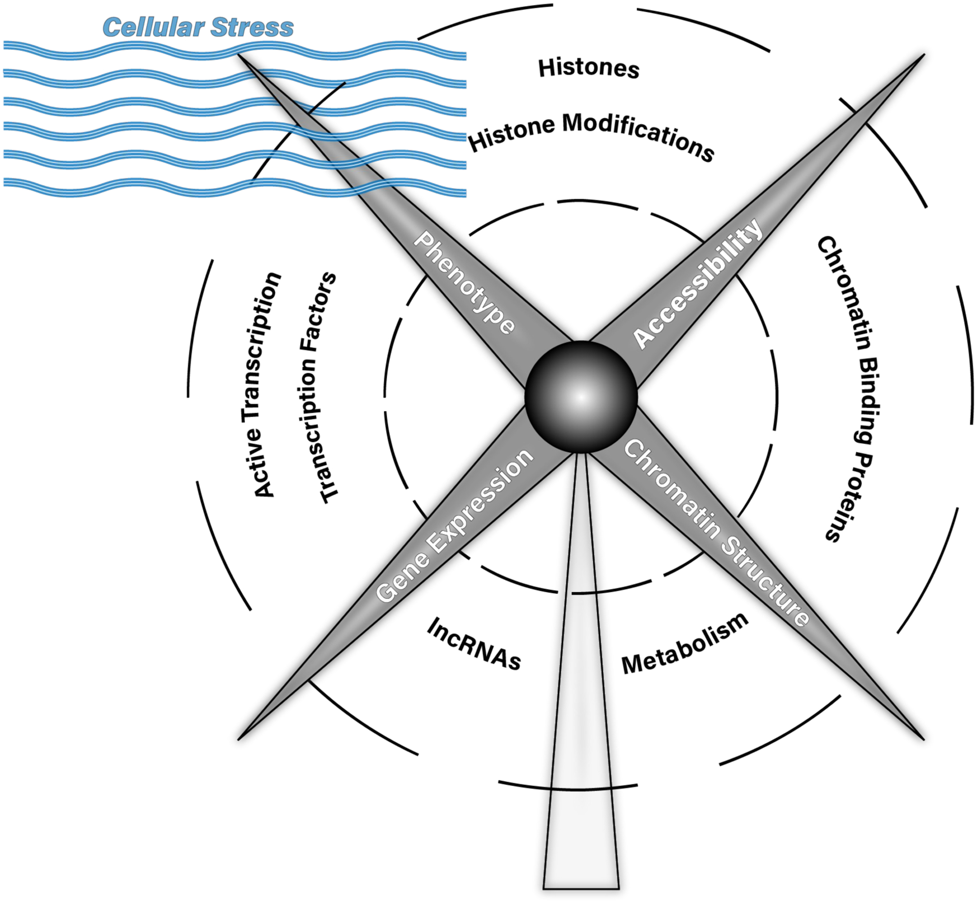 Figure 2: